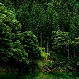 Dream of You in Color