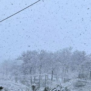 总有一天你会出现在我身边.mp3