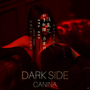 Dark Side
