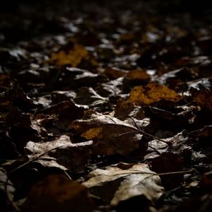 公平（Prod Noria&EVO MUSIC)