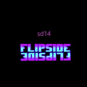 flipside