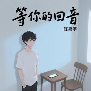 等你的回音