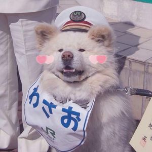 Starry Reverie 伴奏