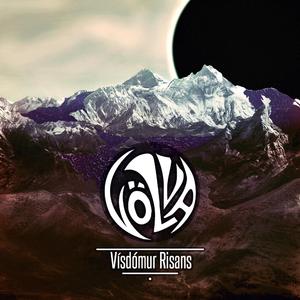 Vísdómur risans