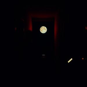 Don't Fall In Love Again