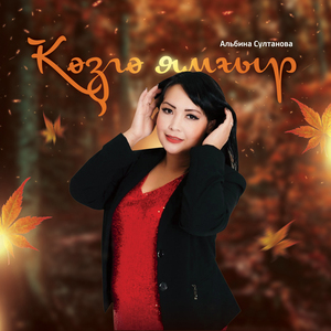 Көҙгө ямғыр