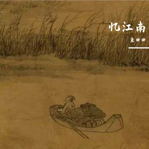 芦花深处