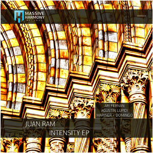 Intensity (Ari Fernan Remix)