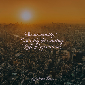 Wandering Wonderment