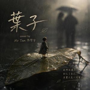 葉子 (cover by Mr Tan 陳哲宇)