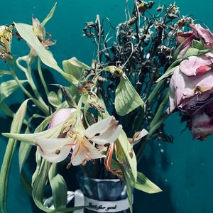 [ rain on me ] emo melody lofi type beat