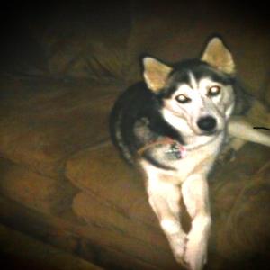 You cant fix me (I cant even fix myself)