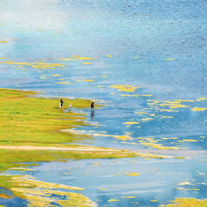 《最美的日子》