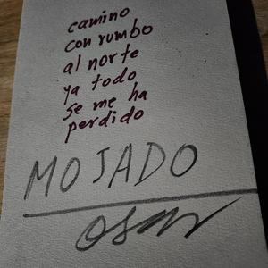 Mojado (llanera 2)