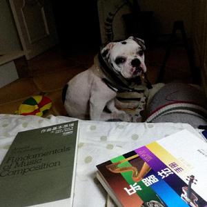 什么时候 （伴奏）