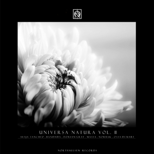 0th Day (Original Mix)