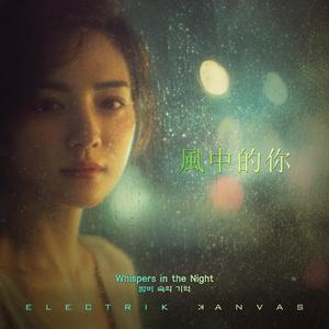 夜雨心事 (Whispers in the Night Rain)