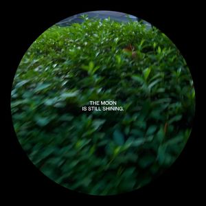 ムーンゲイザー