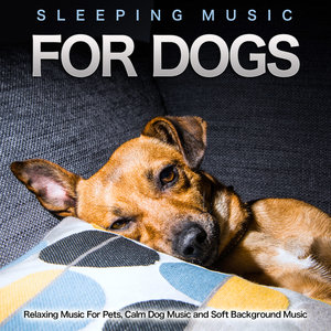 Music For Dogs