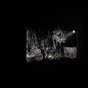 董小姐（静声版）