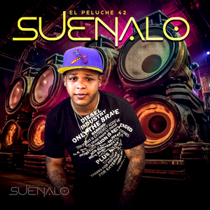Suenalo