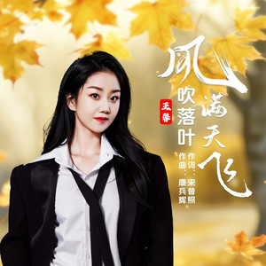 风吹落叶满天飞