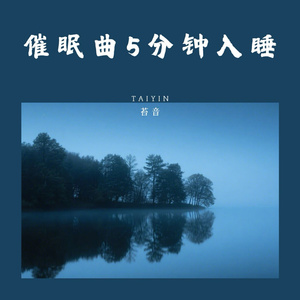 重度失眠者必听催眠曲 专治失眠