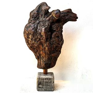 Speaking With Trees #5