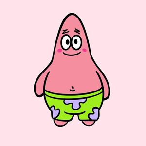 静待花开的日子