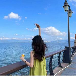 叶一茜-风吹麦浪(DJ版)