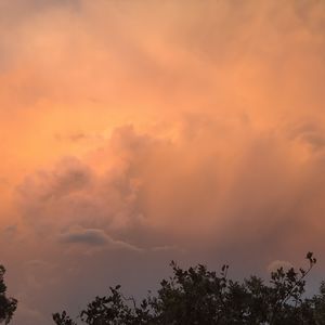 情歌男大吉他版