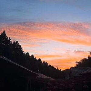 2_可不可以_20230710_150818