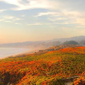 mid-afternoon in Half Moon Bay