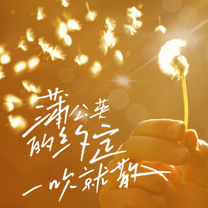 那些想依靠的人和事全部落了空