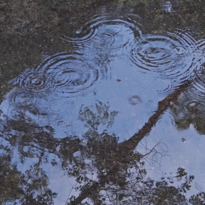 杭州今日有雨