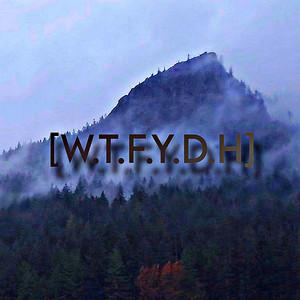 W.T.F.Y.D.H