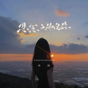 思念天边的你 (DJ长梦版)