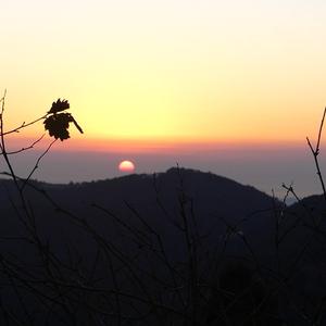 staring at the ocean whilst thinking about drowning