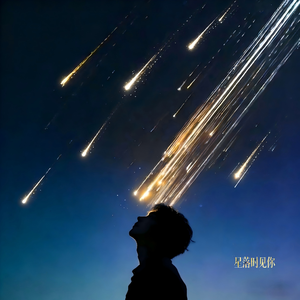 星落时见你