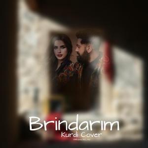 Brindarım (Kurdi Cover Damar)