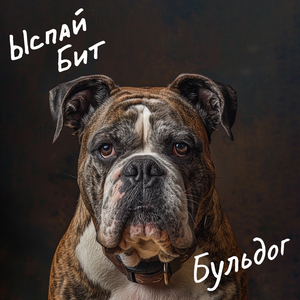 Бульдог