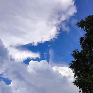 Copium (Slowed + Reverb)