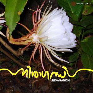 Nisaagandhi Poovukale (Version, 01)