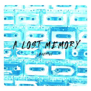 a lost memory