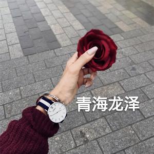 攒够了失望也就离开了(DJ版)