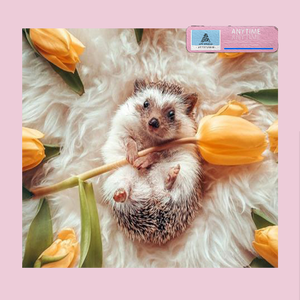 [Free]"Anytime"Chill Jazz