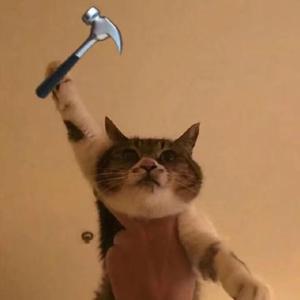 小蓝装逼之歌@格式转换