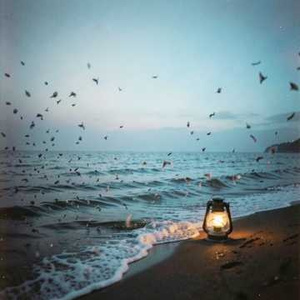 别再说是谁的错