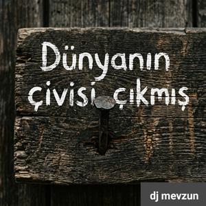 Dünyanın çivisi çıkmış
