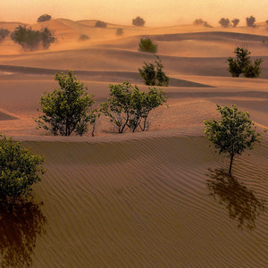文明实践一起来